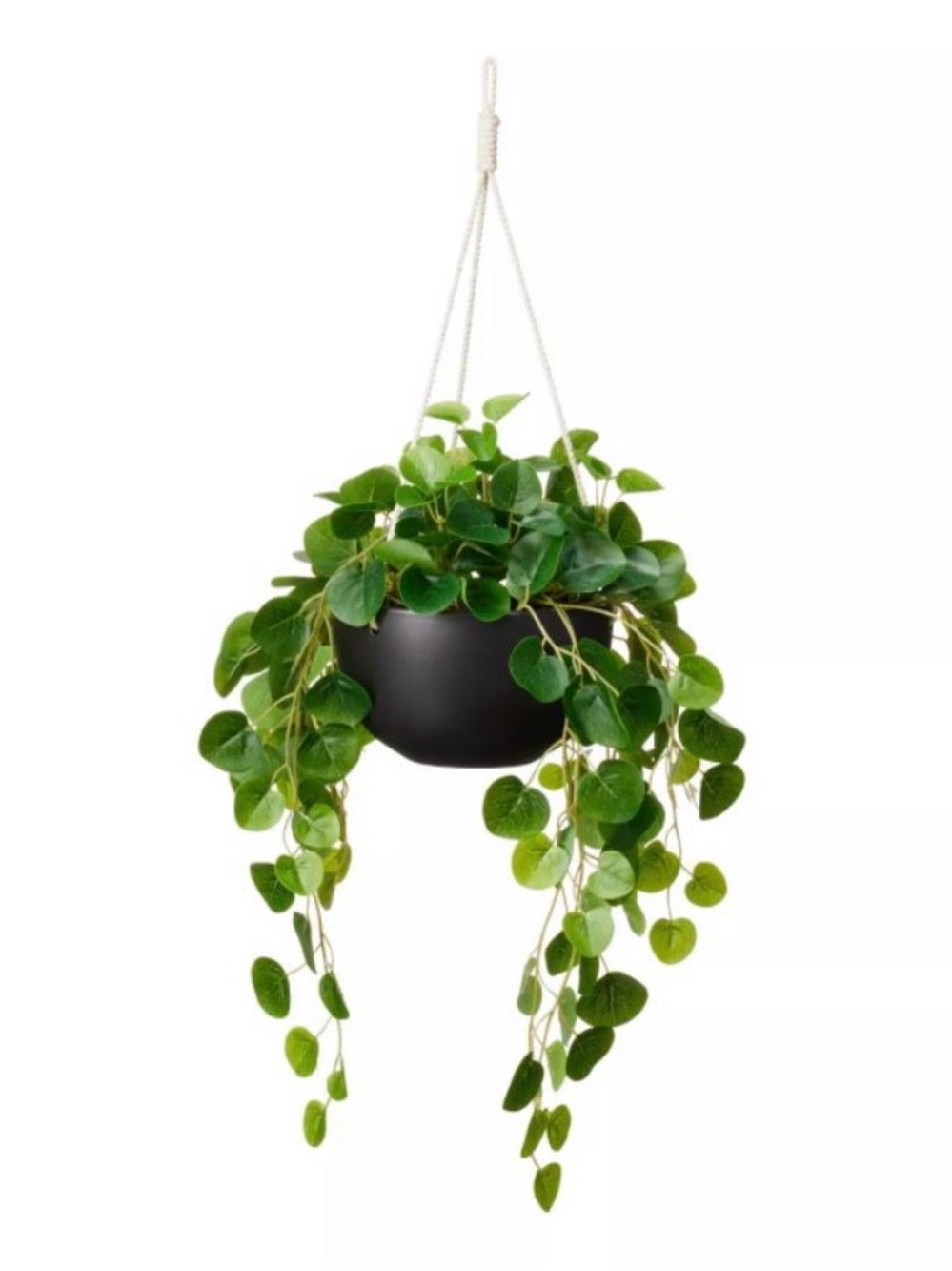 Hilton Carter Target Faux String of Hearts Hanging Plant in Ceramic Pot